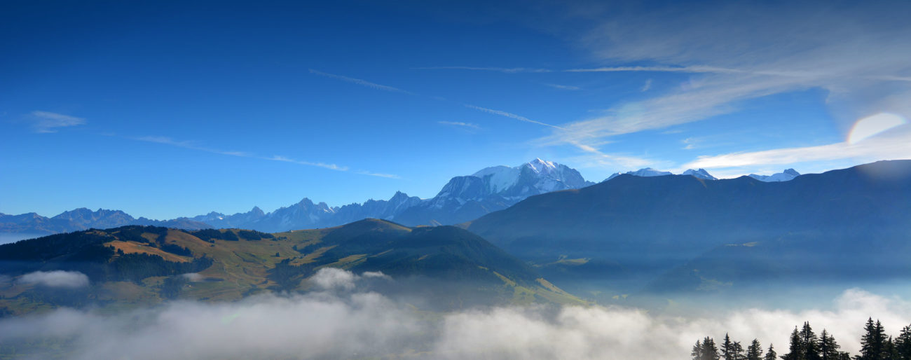 slider1-1300x514.jpg